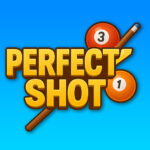 Perfect Shot